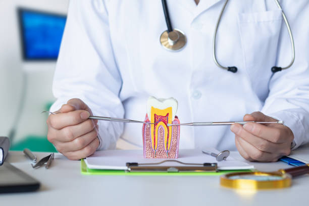 Best Emergency Root Canal Therapy in Elkins Rk, PA